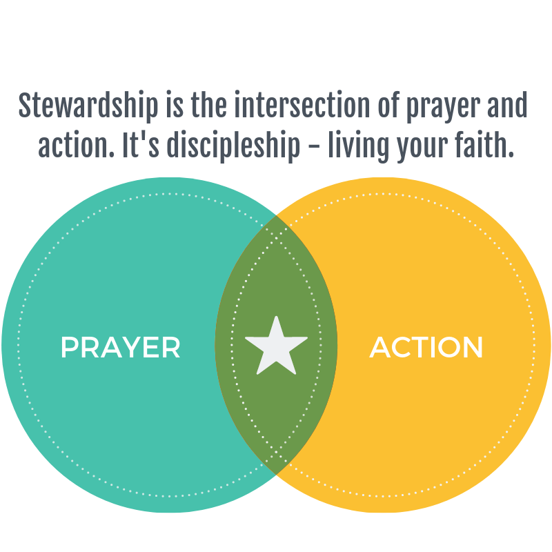 the definition of stewardship